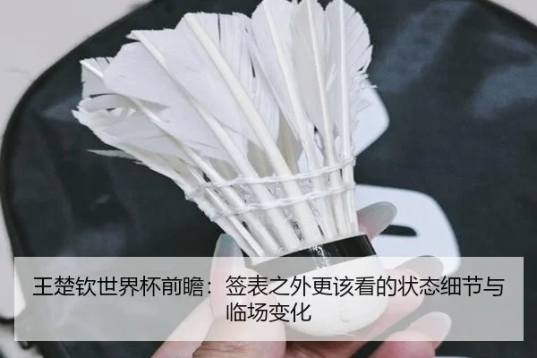 王楚钦世界杯前瞻：签表之外更该看的状态细节与临场变化（dbdianjing）